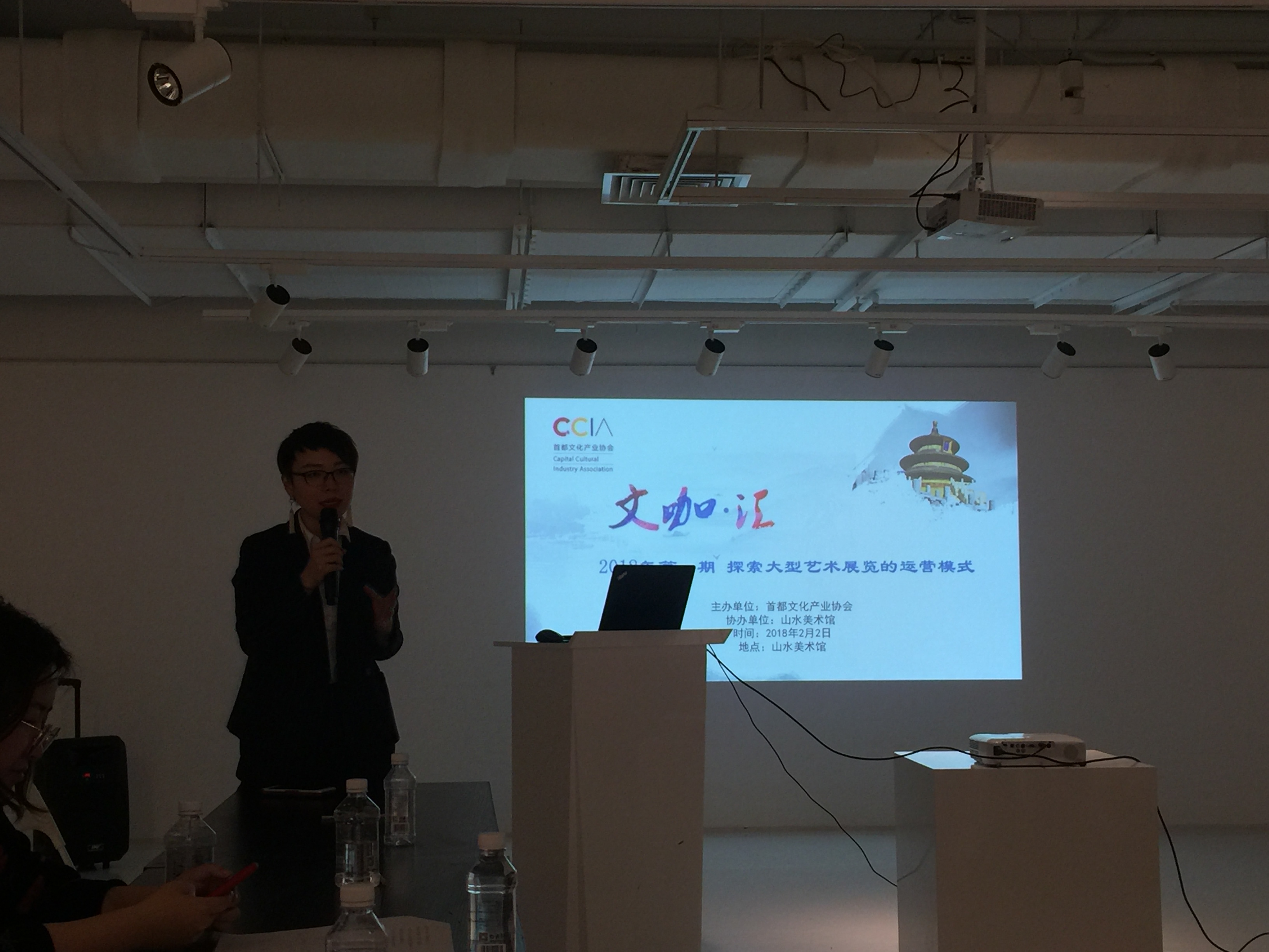 首都文化产业协会举办&ldquo;探索大型艺术展览的运营模式&rdquo;主题沙龙活动